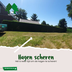 hagen scheren