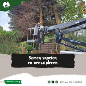 Bomen snoeien